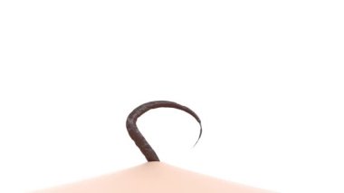 3 boyutlu cilt bakımı kılları 4K uzar