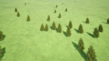 Yeşil alan ormanı üzerinde uçan 3D insansız hava aracı 4k