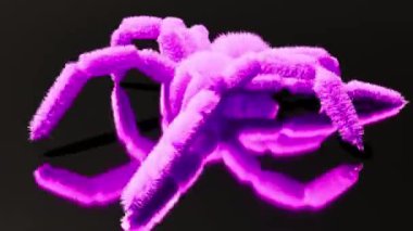Pembe mor örümcek ayna yüzeyinde sonsuz bir yürüyüş yapıyor.
