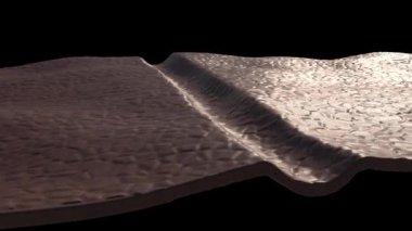 Cilt bakımında 3 boyutlu çizik derin çatlak brok düzeltmesi 4k