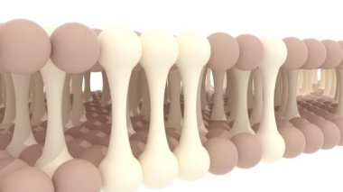 Cilt bakımı katmanları 4k