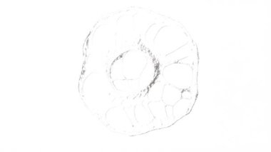 Cıva alüminyum gümüş metal beyaz bg üzerinde sıçrama sonsuz 4k döner.