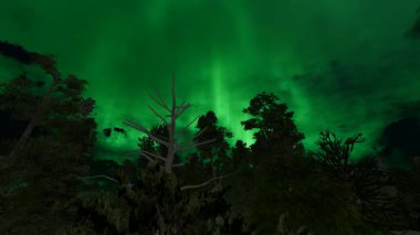 Yeşil Aurora Doğa Manzarası Kış mevsimi 4k