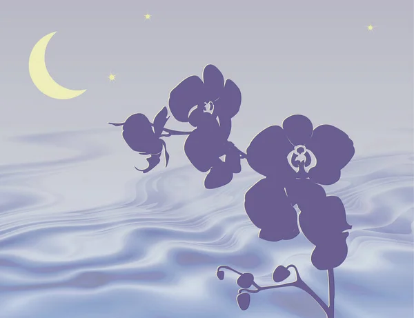 Yumuşak hilal ay ve yıldızlarla dalgalanan suyun üzerindeki derin mor orkidelerin tasviri