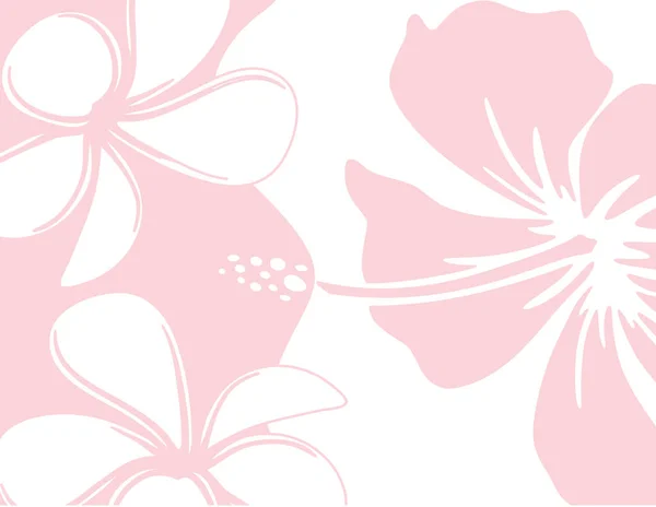 Beyaz arka planda yumuşak pembe plumeria & hibiscus çiçek tasarımı
