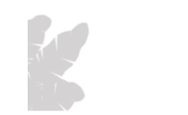 Fotoğraf efektleri için ayarlanabilir şeffaflığa sahip yumuşak odaklı muz yapraklarının gölge örtüsü