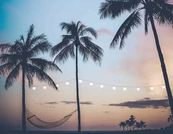 Hindistan cevizi palmiyeleri, günbatımı gökyüzü, sicim ışıkları ve hamağın olduğu tropik sahil parkı sahnesinin fotoğrafı.