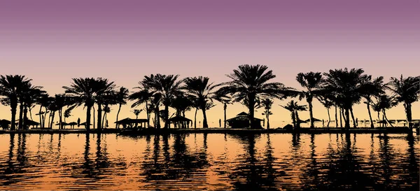 Silüet halindeki palmiye ve pavralar, mor ve turuncu günbatımı renkleriyle tropik bir sahil parkındaki suya yansır.