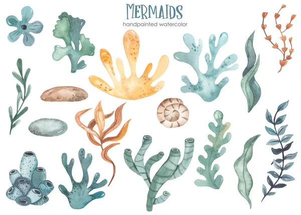 Alga Víz Alatti Növények Korallok Kagylók Kövek Akvarell Előfizető — Stock Fotó