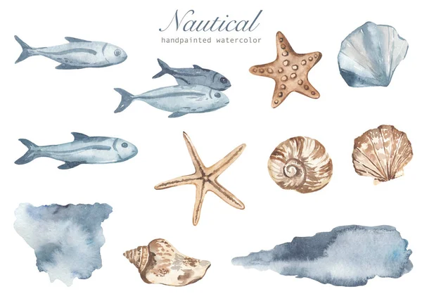 Fishes Shells Starfish Watercolor Blots Watercolor Nautical Set — Stock Photo, Image