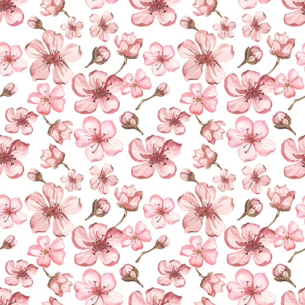 Frühlingsblumen Kirschrosa Frühlingsdruck Auf Weißem Hintergrund Aquarell Nahtloses Muster — Stockfoto