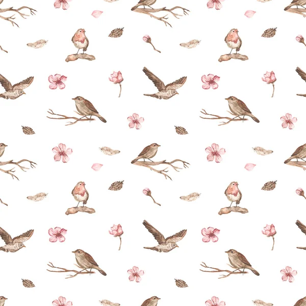 Lente Vogels Bloemen Twijgen Veren Lente Print Een Witte Achtergrond — Stockfoto