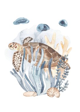 Sea turtle, corals, algae, jellyfish for invitations, Watercolor card of the underwater world clipart