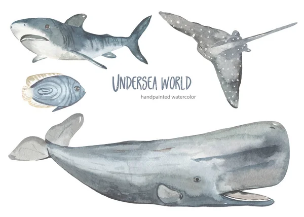 海底生物精子鲸 黄貂鱼 灰色的鱼为卡片 邀请水彩画 — 图库照片
