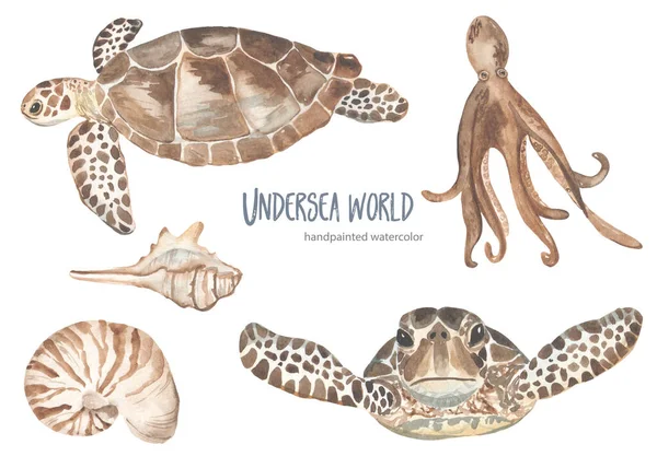 Underwater Creatures Sea Turtle Octopus Shells Cards Invitations Watercolor Set — Stock Photo, Image