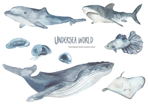 Υποβρύχια Πλάσματα Φάλαινα Καρχαρίας Δελφίνι Σαλάχι Μέδουσες Για Κάρτες Προσκλήσεις — Φωτογραφία Αρχείου