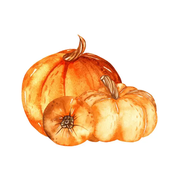 Herfst Oogst Sinaasappel Voor Uitnodiging Ansichtkaart Pompoenen Aquarel Samenstelling — Stockfoto