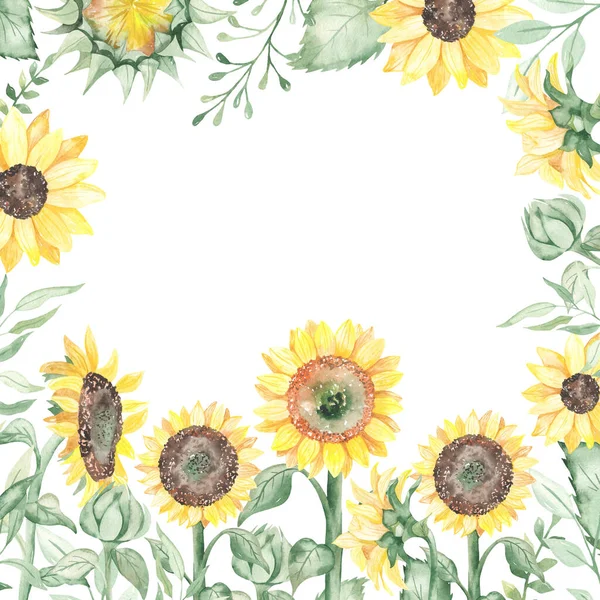Banner with sunflowers, leaves, greenery for cards and invitations Watercolor