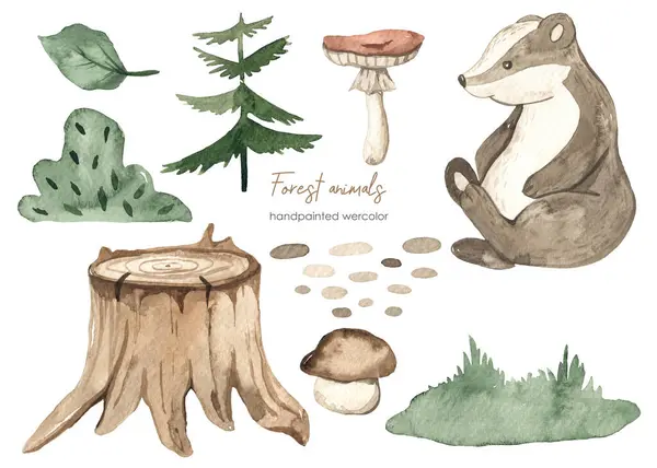 Erdő Állatok Borz Levelek Csonk Lucfenyő Növények Babakártyák Babaköszöntő Akvarell Stock Kép
