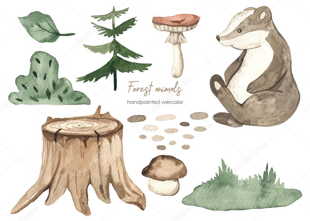 Forest animals, badger, grass, leaves, stump, spruce, plants for baby cards and baby showers Watercolor set