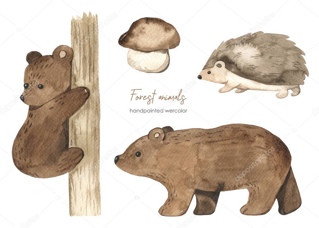 Forest animals, bear, cub, hedgehog, illustration for children's cards and baby showers, children Watercolor set