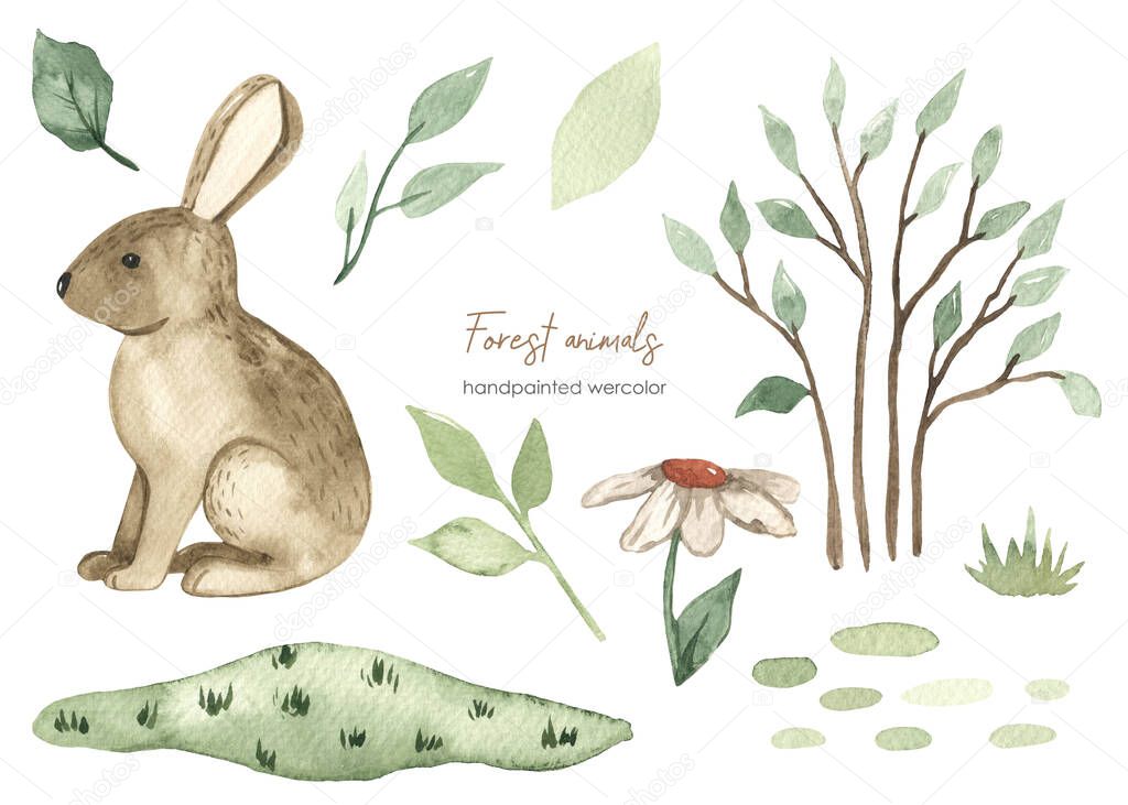 Forest animals, hare, grass, leaves, bushes, chamomile, plants for baby cards and baby showers Watercolor set