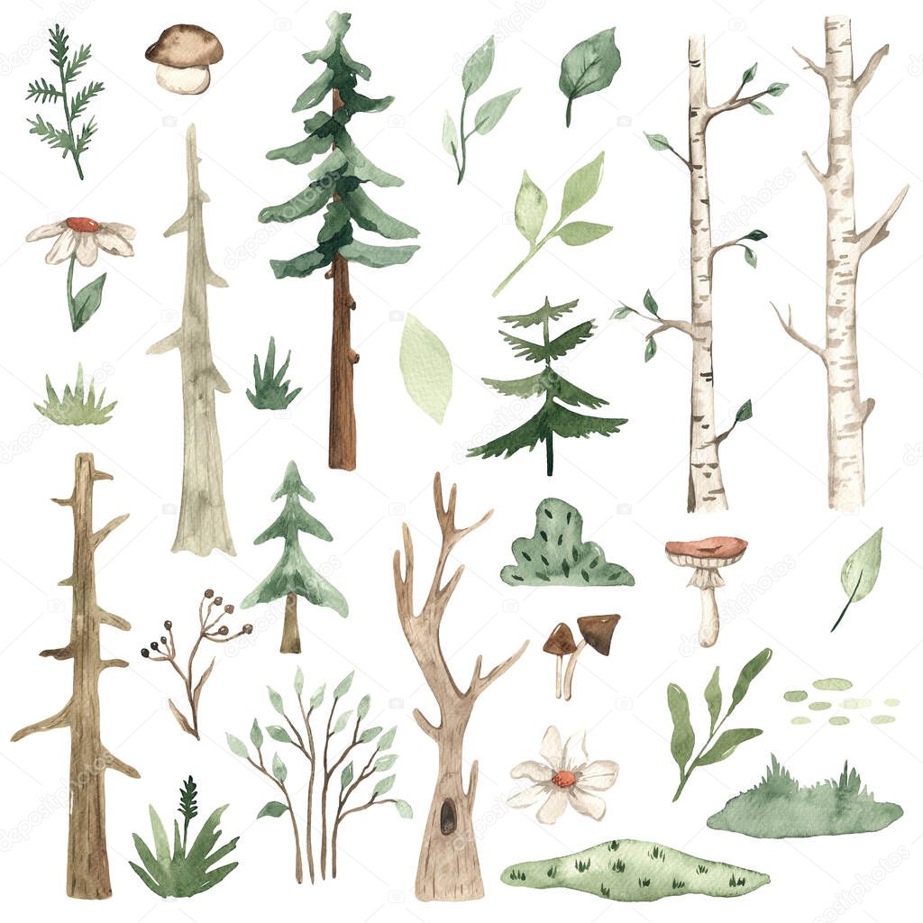Forest plants, birch, trees, spruce, pine, leaves, flowers, grass, greenery, bushes, mushrooms for children's cards and greetings Watercolor set