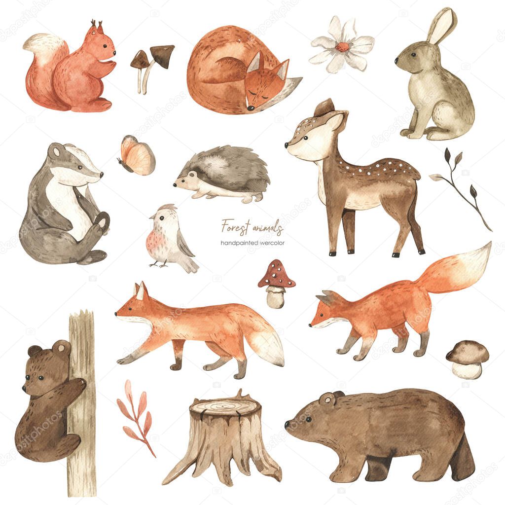 Forest animals, squirrel, fox, hare, bear, badger, hedgehog, mushrooms, flower, butterfly, bird, plants for baby cards and baby showers Watercolor set