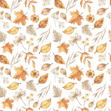 Sonbahar bitkileri, çiçekler, yapraklar, sonbahar baskısı, beyaz arkaplanda doku suluboya pürüzsüz desen 