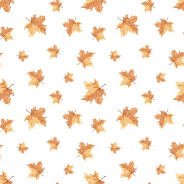 Sonbahar baskısı, beyaz arkaplanda parlak yapraklı doku akçaağaç yapraklı suluboya kusursuz desen