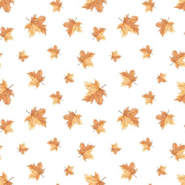 Fall print, texture with leaves bright on white background Watercolor seamless pattern with maple autumn leaves clipart