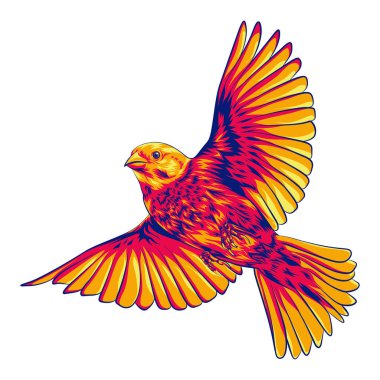 Poster, Duvar Kağıdı ve Tshirt Renkli Serçe Kuş Grafik Çizimi Elementi