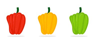 Farklı renklerde üç Bulgar tatlı biberi: kırmızı, sarı, yeşil