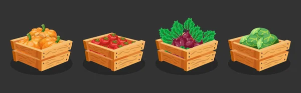 Box Pumpkin Tomatoes Beets Cabbage — Stock Vector