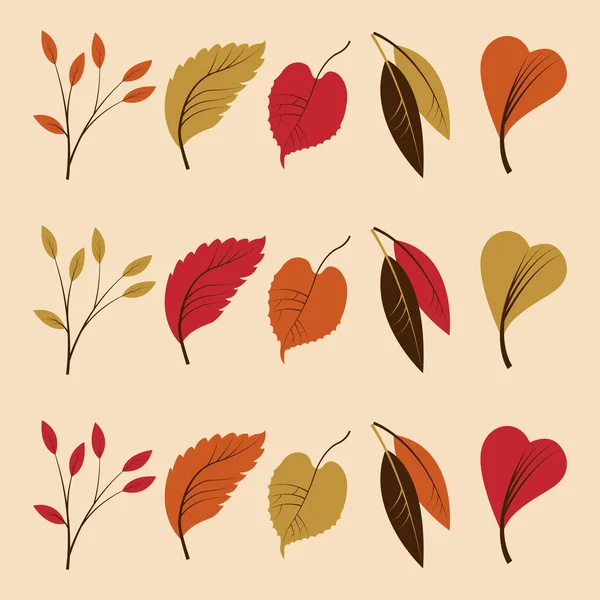 Коллекция Осенних Листьев Желтый Красный Осенний Лист Изолированное Векторное Множество — стоковый вектор