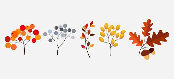 Autumn Vector Set Berries Leaves Seasonal Fall Collection — Stock Vector