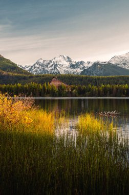 Sonbahar manzaralı bir göl, gündoğumunda arka planda güzel ve karlı dağlar. Tatras 'ta Strbske pleso sonbaharda sarı çimenler ve ön planda yumuşak doğal ışık - Slovakya' da sonbahar havası.