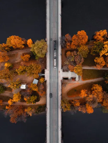 Top view shot of bridge (road) over the colorful Strelecky Island with beautiful yellow trees in Prague Czechia - autumn season. Road with cars and colorful forest during the fall in Prague city.