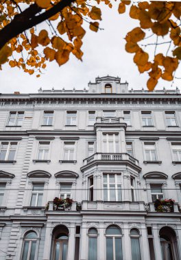 Prag - Çek Cumhuriyeti 'nde, portakal yapraklı eski gri binanın (ev) dikey fotoğrafı. Prag 'ın şehir merkezindeki tarihi apartman dairesi.