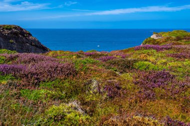 Cap Frehel 'in Atlantik kıyısındaki muhteşem uçurumları Brittany, Fransa