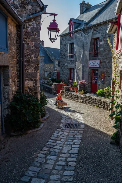 法国布列塔尼省Ille和Vilaine省的圣苏利亚克布列塔尼村的一只红猫 — 图库照片