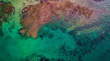 Brittany, Fransa 'daki Brehat Adası yakınlarındaki Atlantik Sahili' nde İngiliz Kanalında Pembe Granit Kayalıkları olan Yeşil Göl