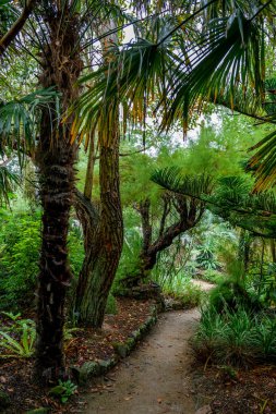 Fransa 'nın Atlantik kıyısındaki Roscoff köyünün egzotik bahçesi Jardin Exotique De Roscoff