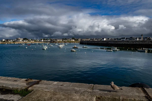 Port Mieście Roscoff Wybrzeżu Atlantyku Finistere Bretanii Francja — Zdjęcie stockowe