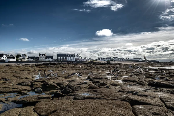 Город Гильвинец Каменный Пляж Финишном Атлантическом Побережье Бриттани Франция — стоковое фото