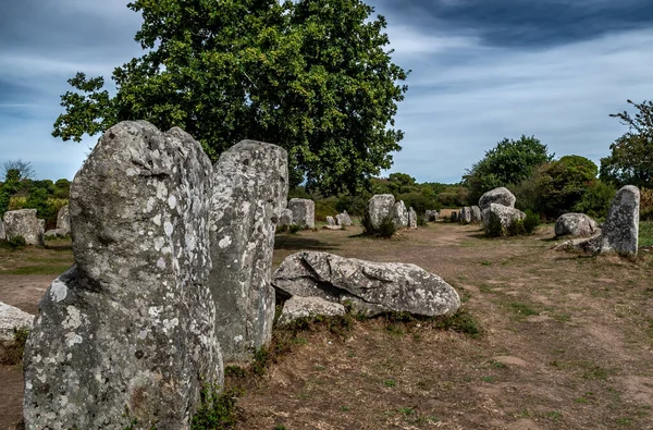 Campo Pedra Antiga Kerzerho Cruzuno Com Megaliths Neolítico Perto Finistere — Fotografia de Stock