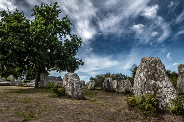 Ancient Stone Field Kerzerho Cruzuno Neolithic Megaliths Cottage Finistere Village — Stock Photo, Image