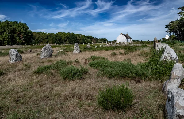 Ancient Stone Field Alignements Menhir Carnac Met Neolithische Megalieten Old — Stockfoto