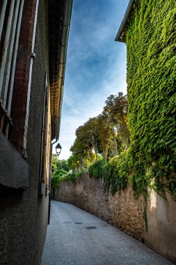 Fransa 'nın Occitania kentindeki Antik Ortaçağ Şehir Carcassonne Kalesi' ndeki Antik Binalarla Dar Sokak