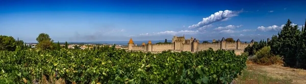 Захватывающая Древняя Крепость Средневекового Города Каркассон Виноградники Окситании Франция — стоковое фото